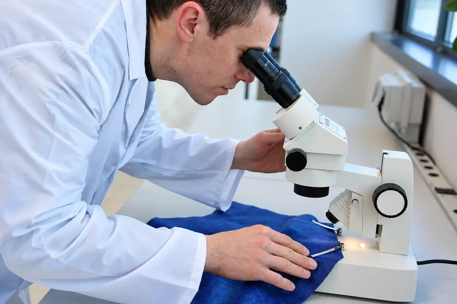 Osservazione al microscopio di un campione di pelle